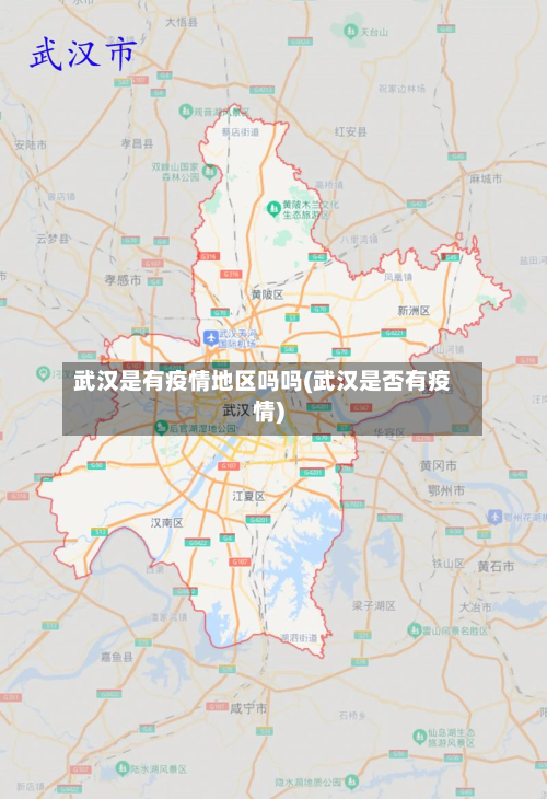 武汉是有疫情地区吗吗(武汉是否有疫情)-第1张图片