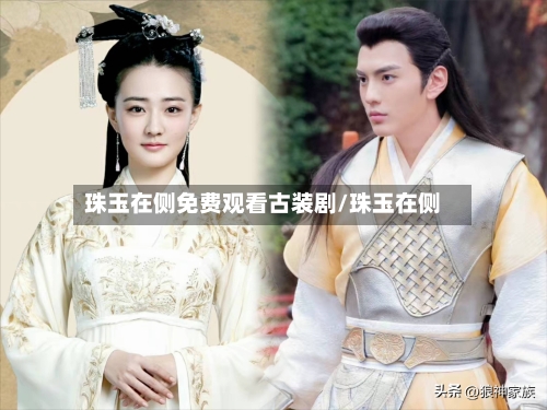 珠玉在侧免费观看古装剧/珠玉在侧-第1张图片
