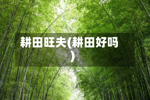 耕田旺夫(耕田好吗)-第1张图片