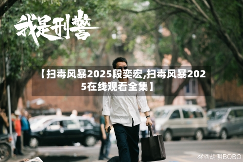 【扫毒风暴2025段奕宏,扫毒风暴2025在线观看全集】-第2张图片