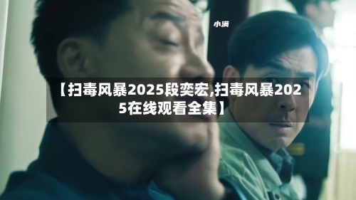 【扫毒风暴2025段奕宏,扫毒风暴2025在线观看全集】-第3张图片