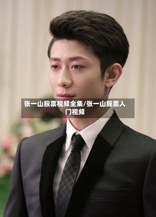 张一山股票视频全集/张一山股票入门视频-第1张图片