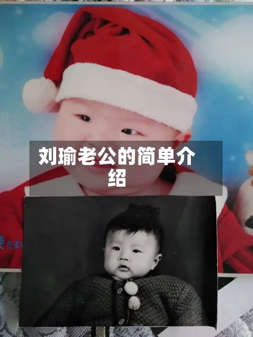 刘瑜老公的简单介绍-第1张图片