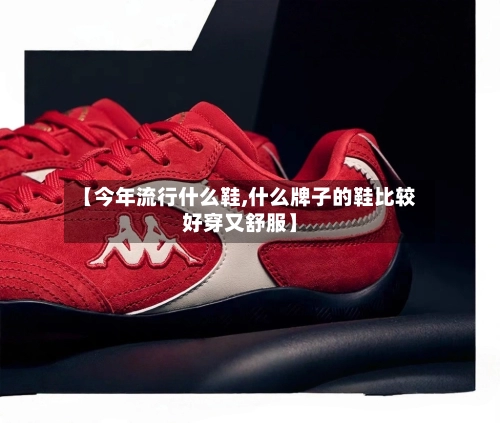 【今年流行什么鞋,什么牌子的鞋比较好穿又舒服】-第2张图片