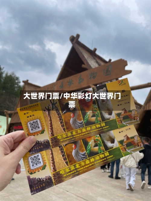 大世界门票/中华彩灯大世界门票-第1张图片