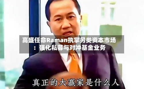 高盛任命Raman执掌另类资本市场：强化私募与对冲基金业务-第3张图片