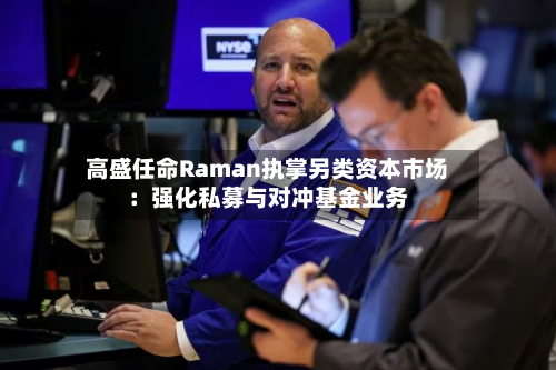 高盛任命Raman执掌另类资本市场：强化私募与对冲基金业务-第1张图片