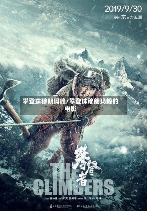 攀登珠穆朗玛峰/攀登珠穆朗玛峰的电影-第2张图片