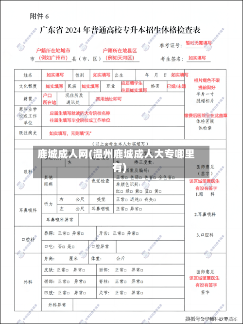 鹿城成人网(温州鹿城成人大专哪里有)-第1张图片