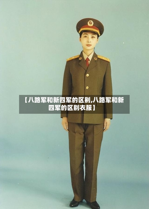 【八路军和新四军的区别,八路军和新四军的区别衣服】-第1张图片