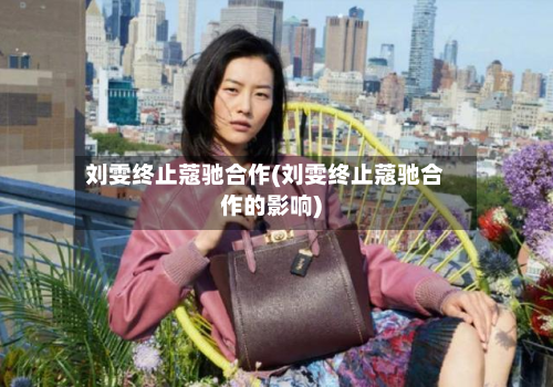 刘雯终止蔻驰合作(刘雯终止蔻驰合作的影响)-第1张图片