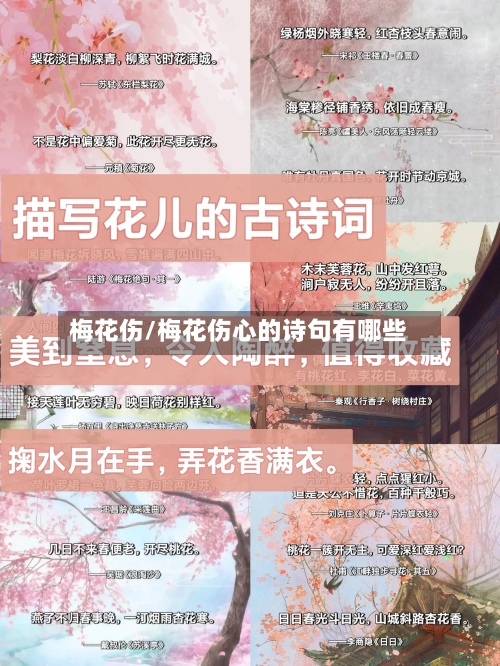 梅花伤/梅花伤心的诗句有哪些-第2张图片