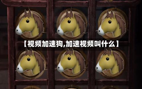 【视频加速狗,加速视频叫什么】-第1张图片