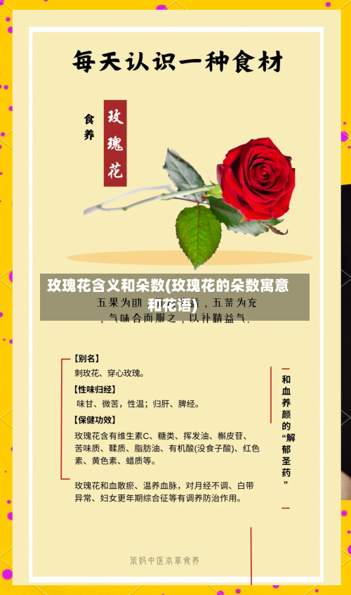 玫瑰花含义和朵数(玫瑰花的朵数寓意和花语)-第1张图片