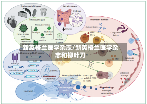 新英格兰医学杂志/新英格兰医学杂志和柳叶刀-第2张图片