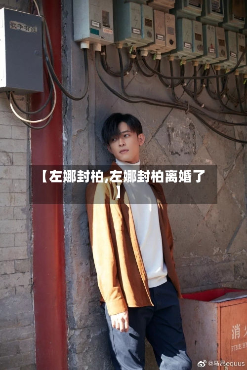 【左娜封柏,左娜封柏离婚了】-第1张图片