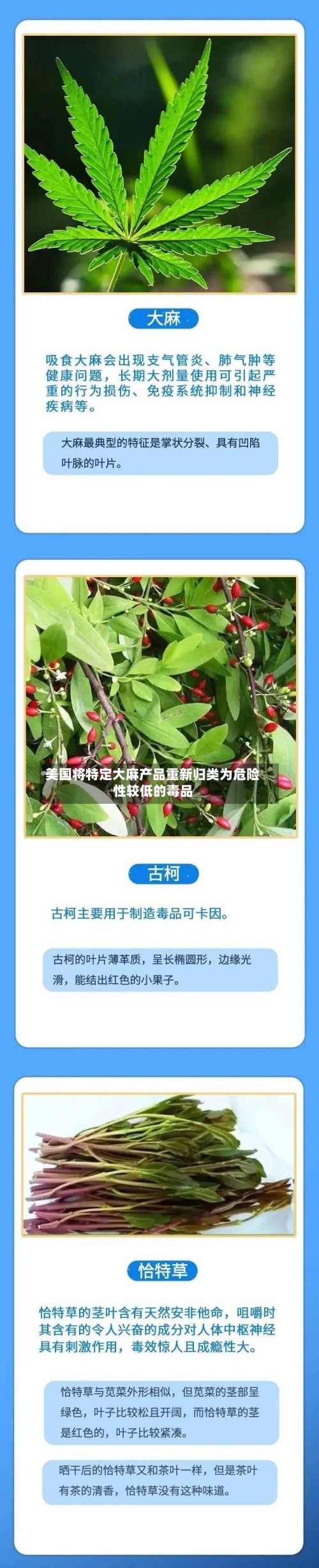 美国将特定大麻产品重新归类为危险性较低的毒品-第3张图片