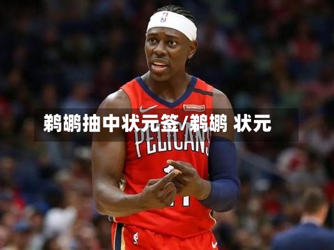 鹈鹕抽中状元签/鹈鹕 状元-第1张图片