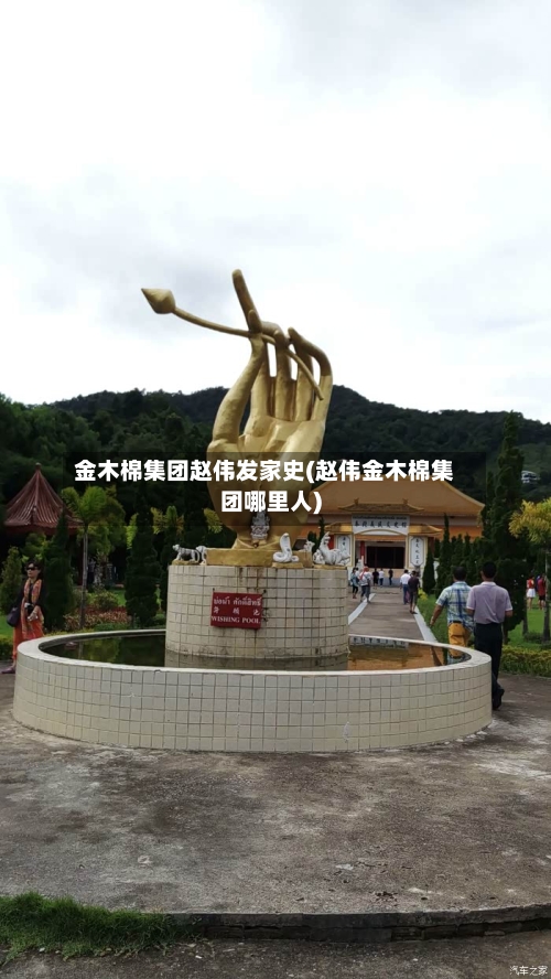 金木棉集团赵伟发家史(赵伟金木棉集团哪里人)-第1张图片