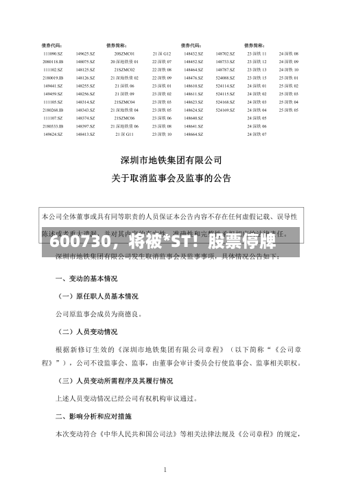 600730，将被*ST！股票停牌-第3张图片