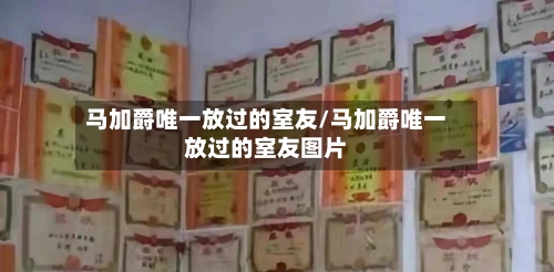 马加爵唯一放过的室友/马加爵唯一放过的室友图片-第3张图片