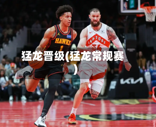 猛龙晋级(猛龙常规赛)-第3张图片