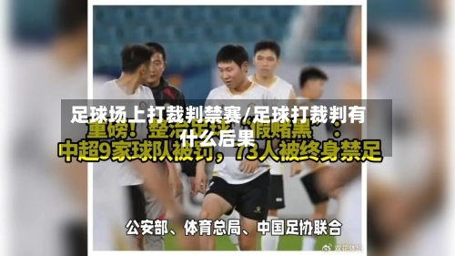 足球场上打裁判禁赛/足球打裁判有什么后果-第2张图片