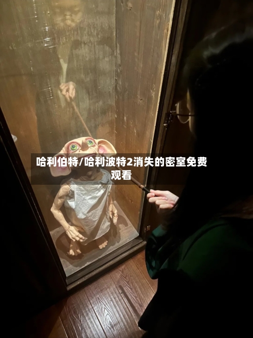 哈利伯特/哈利波特2消失的密室免费观看-第1张图片