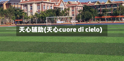 天心辅助(天心cuore di cielo)-第1张图片