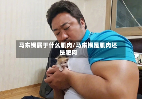 马东锡属于什么肌肉/马东锡是肌肉还是肥肉-第3张图片