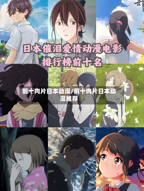 前十肉片日本动漫/前十肉片日本动漫推荐-第1张图片