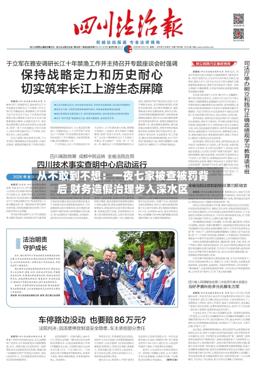 从不敢到不想：一夜七家被查被罚背后 财务造假治理步入深水区-第1张图片