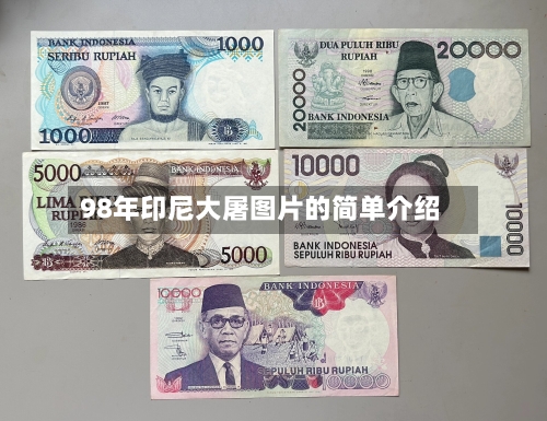 98年印尼大屠图片的简单介绍-第3张图片