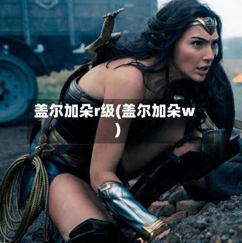 盖尔加朵r级(盖尔加朵w)-第2张图片