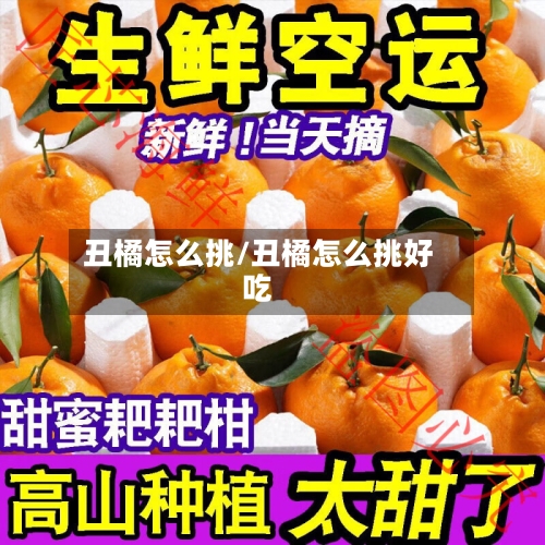 丑橘怎么挑/丑橘怎么挑好吃-第2张图片