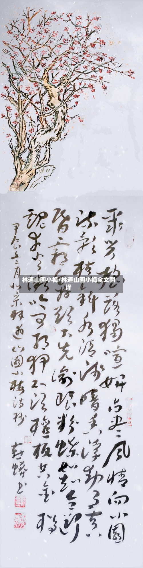 林逋山园小梅/林逋山园小梅全文翻译-第2张图片