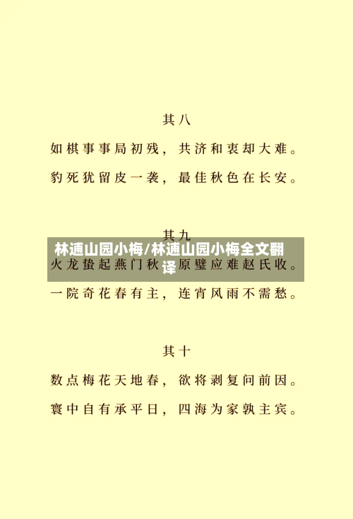 林逋山园小梅/林逋山园小梅全文翻译-第3张图片