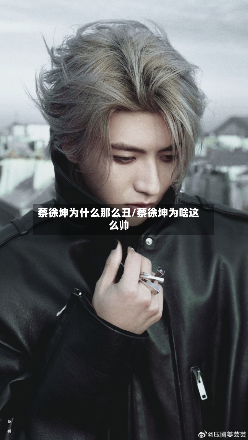 蔡徐坤为什么那么丑/蔡徐坤为啥这么帅-第1张图片