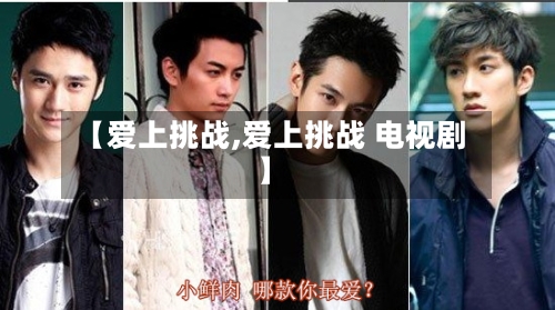 【爱上挑战,爱上挑战 电视剧】-第1张图片