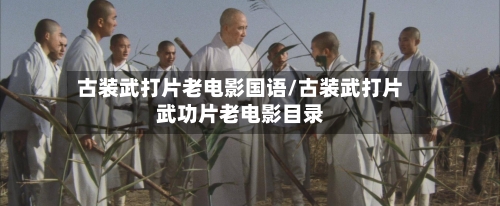 古装武打片老电影国语/古装武打片武功片老电影目录-第1张图片