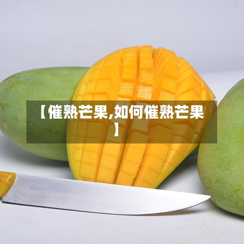 【催熟芒果,如何催熟芒果】-第1张图片