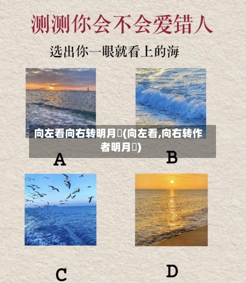 向左看向右转明月珰(向左看,向右转作者明月珰)-第1张图片