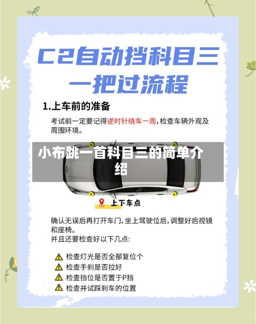 小布跳一首科目三的简单介绍-第3张图片