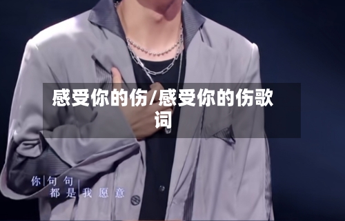 感受你的伤/感受你的伤歌词-第2张图片