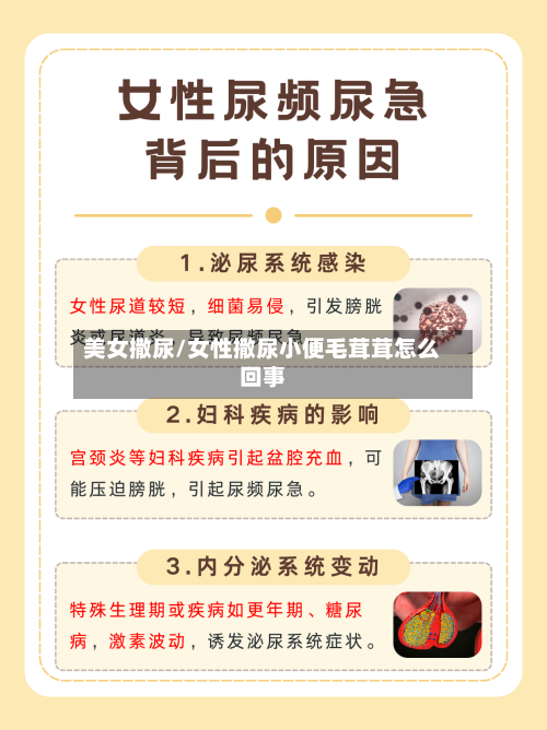 美女撒尿/女性撒尿小便毛茸茸怎么回事-第2张图片