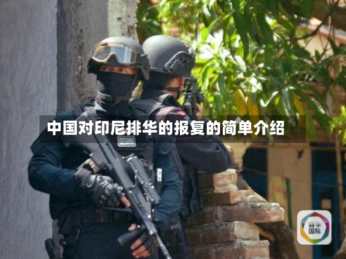 中国对印尼排华的报复的简单介绍-第2张图片