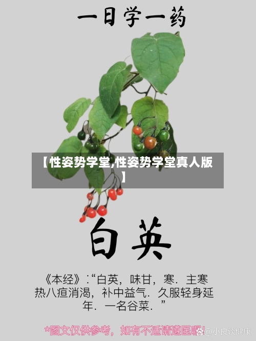 【性姿势学堂,性姿势学堂真人版】-第2张图片