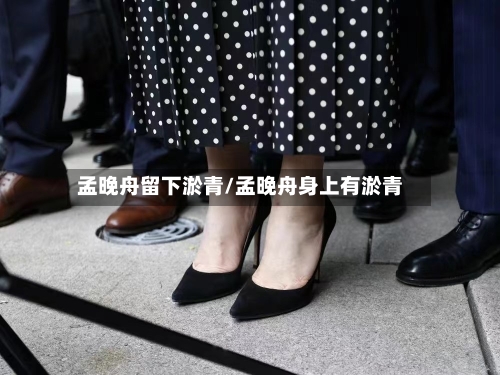 孟晚舟留下淤青/孟晚舟身上有淤青-第1张图片