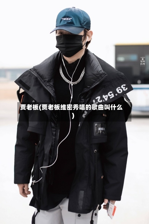 贾老板(贾老板维密秀唱的歌曲叫什么)-第2张图片