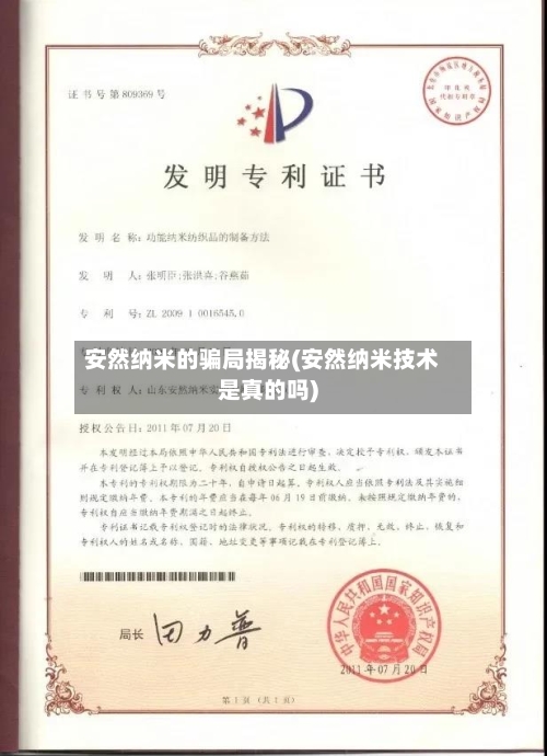 安然纳米的骗局揭秘(安然纳米技术是真的吗)-第1张图片